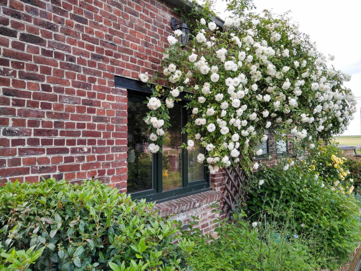 Gite Rural Les Petites Tetes Leuze-en-Hainaut Екстериор снимка