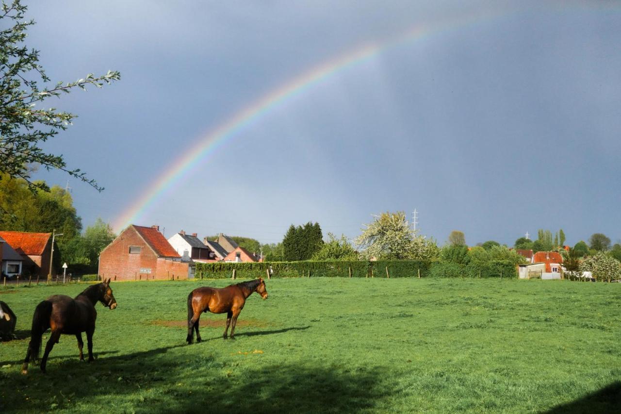 Gite Rural Les Petites Tetes Leuze-en-Hainaut Екстериор снимка