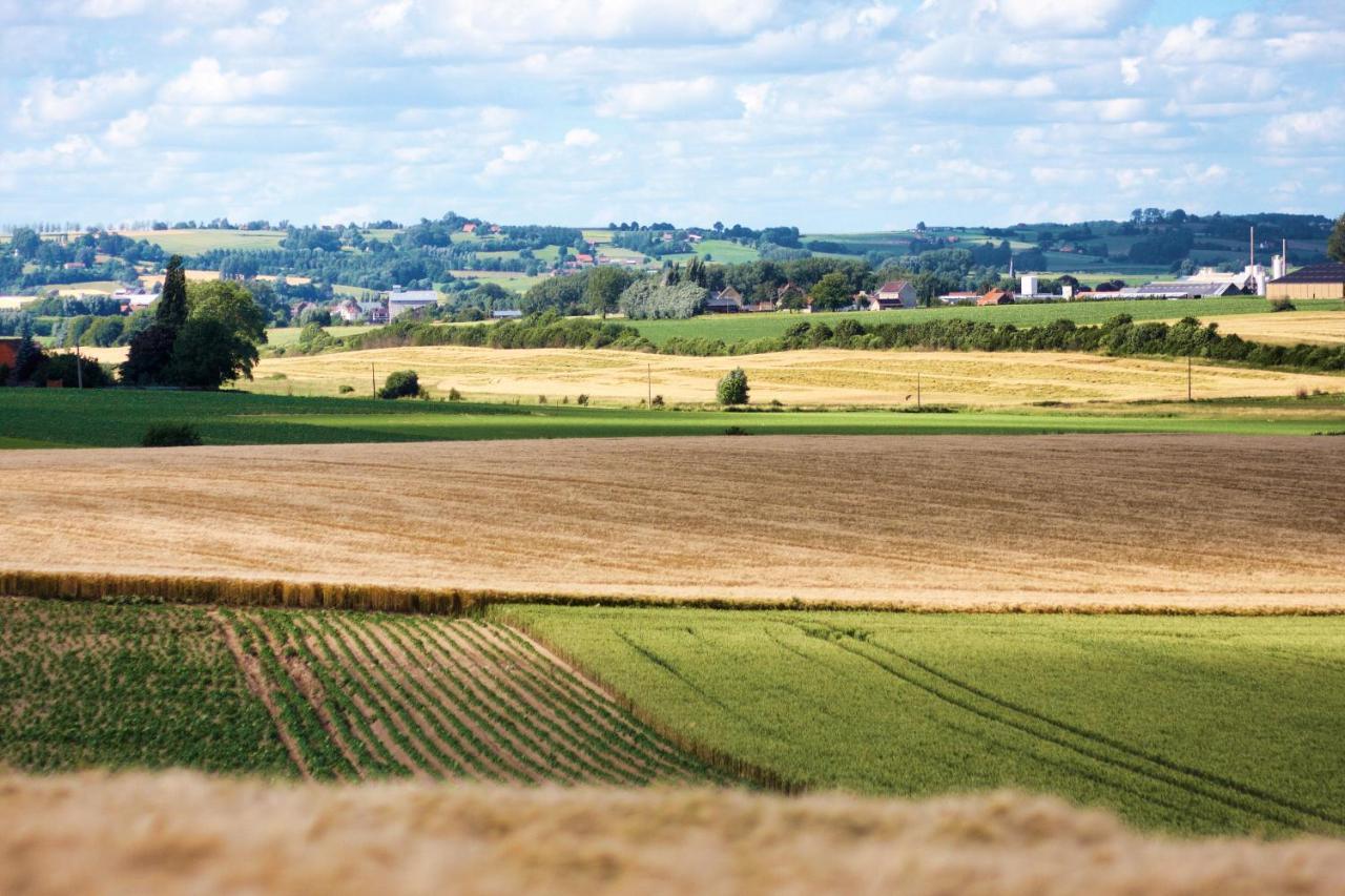 Gite Rural Les Petites Tetes Leuze-en-Hainaut Екстериор снимка